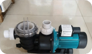 Low pressure pump